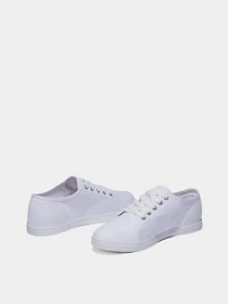 Кеды Timberland Dausette Canvas Oxford модель TB0A2EWXL77 Фото