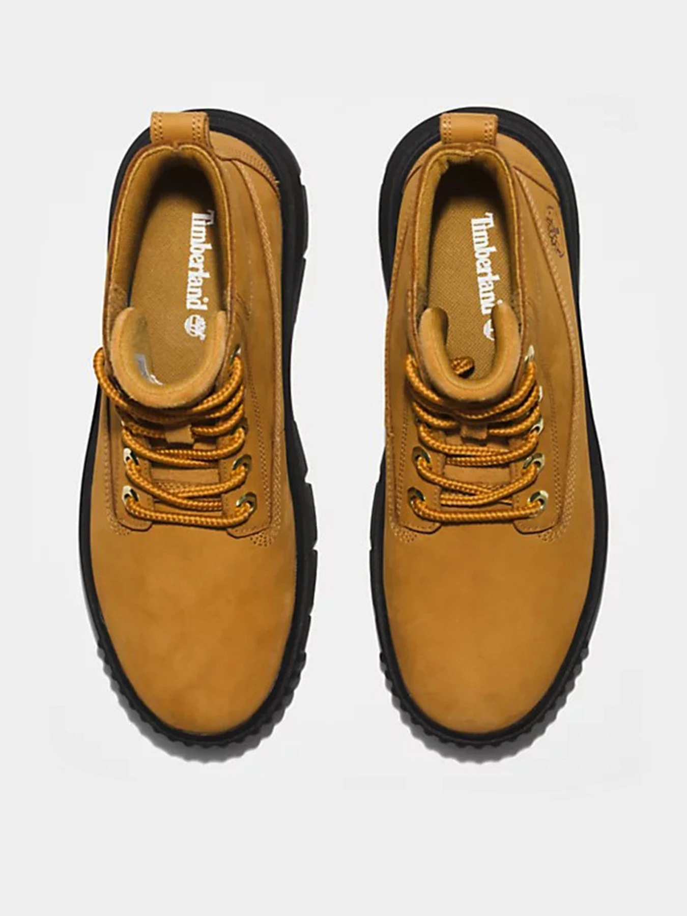 Черевики та чоботи Timberland GREYFIELD модель TB0A5RP4231 Фото