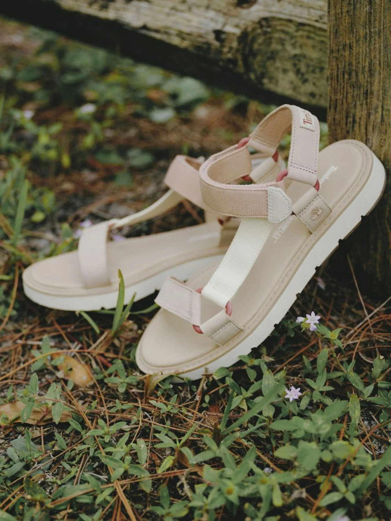 Сандалии Timberland Bailey Park модель TB0A5PN7DR1 Сандалии Timberland Bailey Park модель TB0A5PN7DR1 Фото