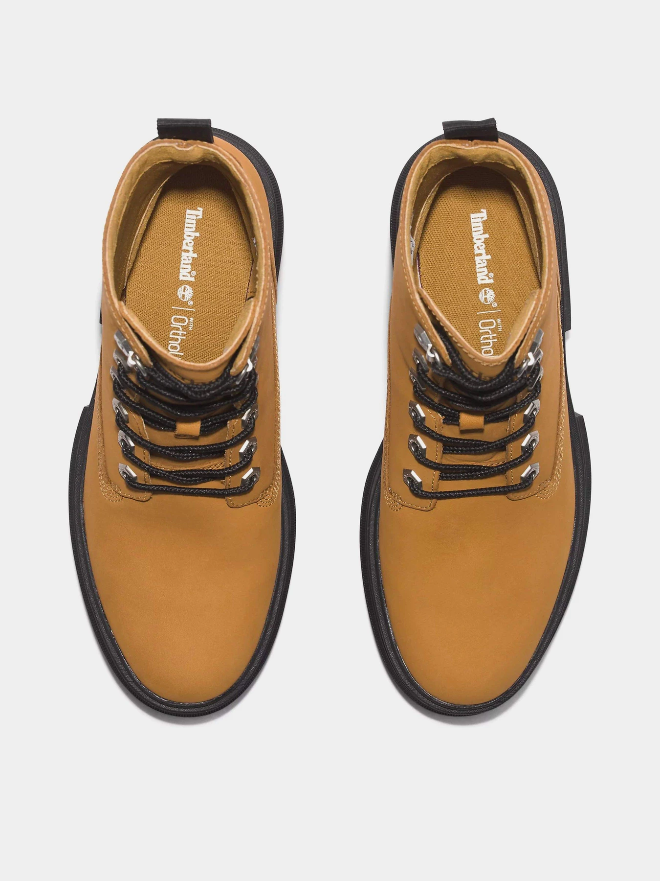 Черевики та чоботи Timberland Everleigh 6 Inch модель TB0A41QK231 Черевики та чоботи Timberland Everleigh 6 Inch модель TB0A41QK231 Фото