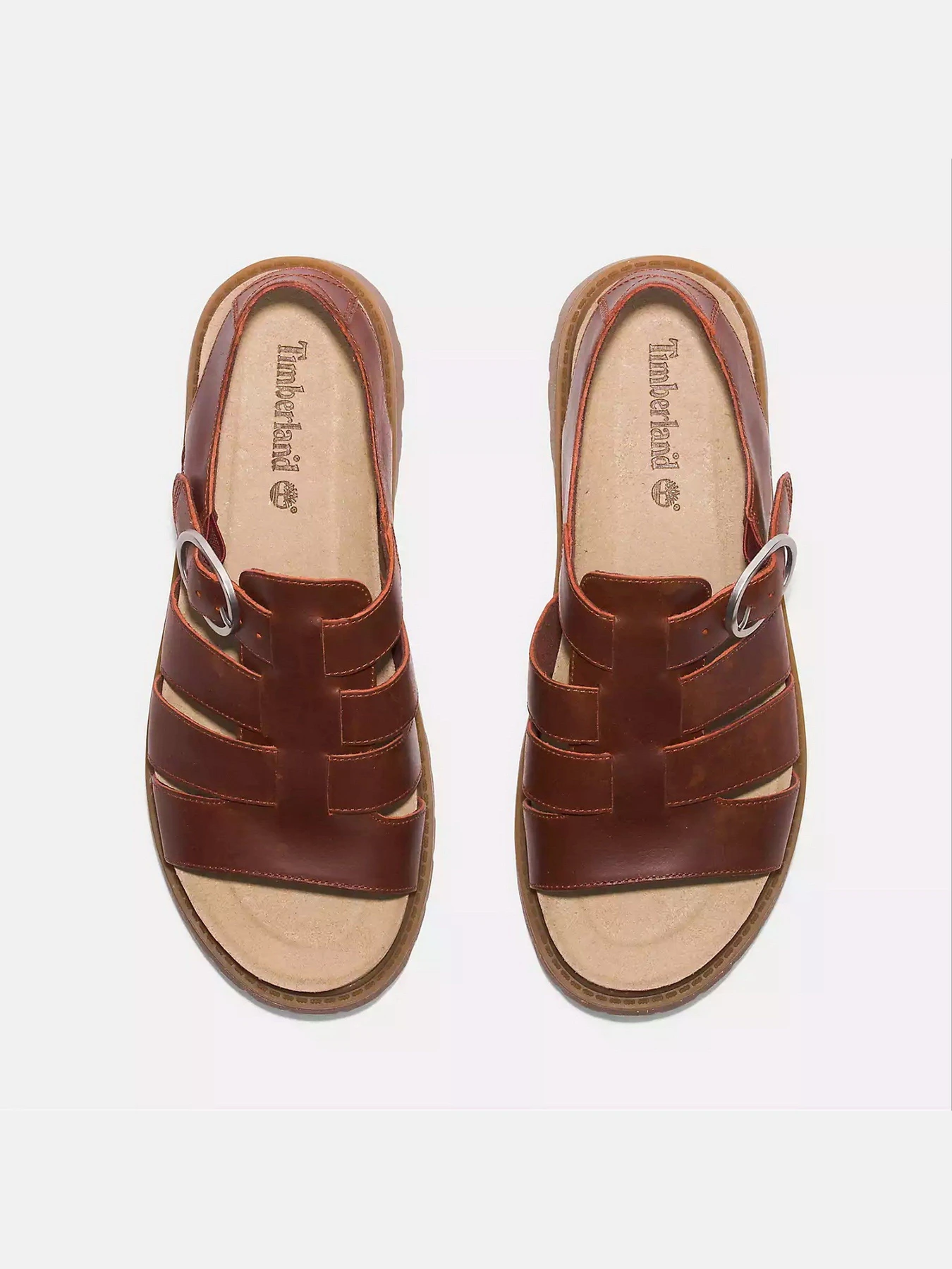 Сандалии Timberland Clairemont Way Fisherman модель TB0A5ZKZEQ8 Сандалии Timberland Clairemont Way Fisherman модель TB0A5ZKZEQ8 Фото