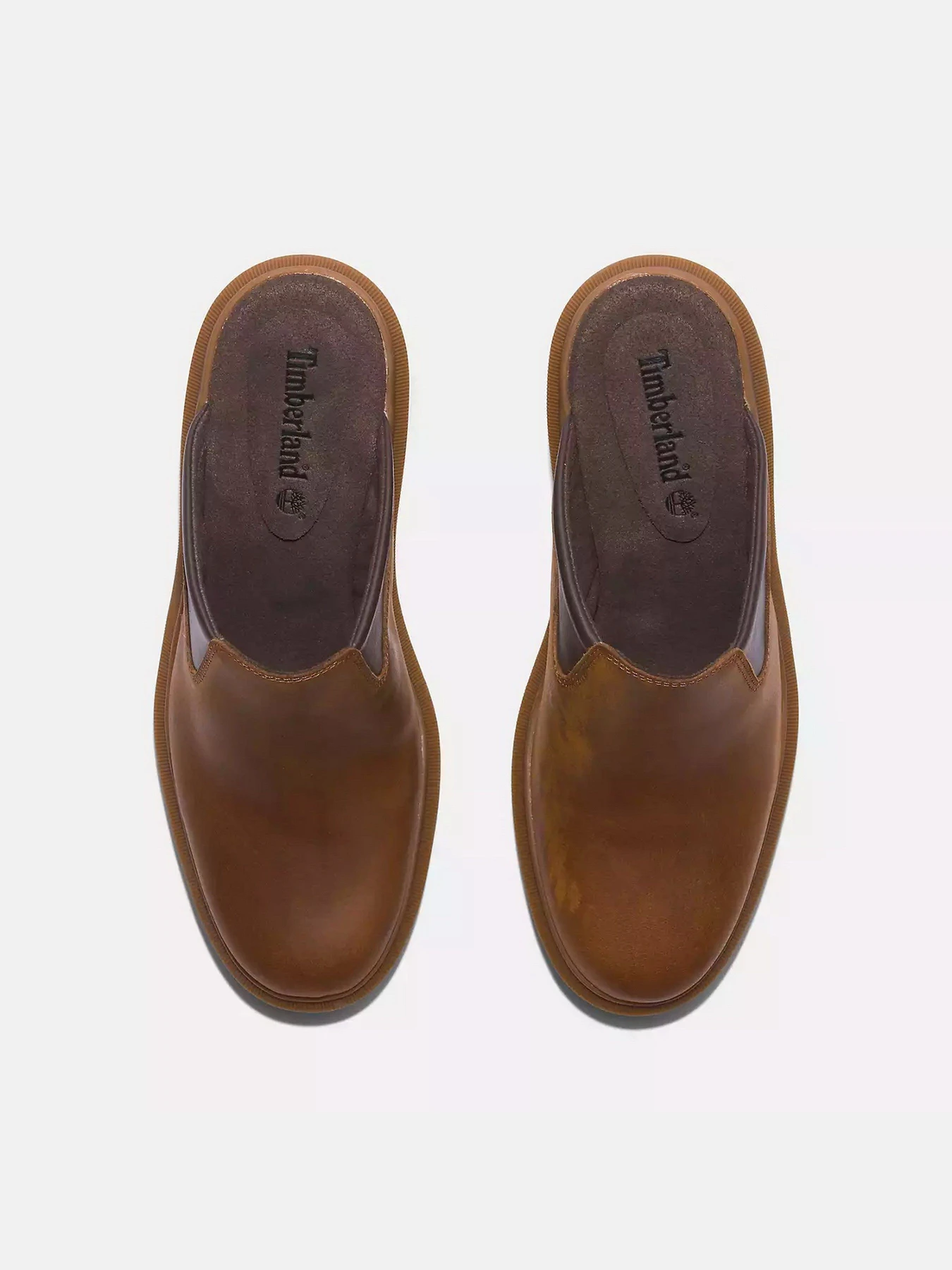 Шлёпанцы Timberland Allington Heights модель TB0A64TZEM6 Шлёпанцы Timberland Allington Heights модель TB0A64TZEM6 Фото