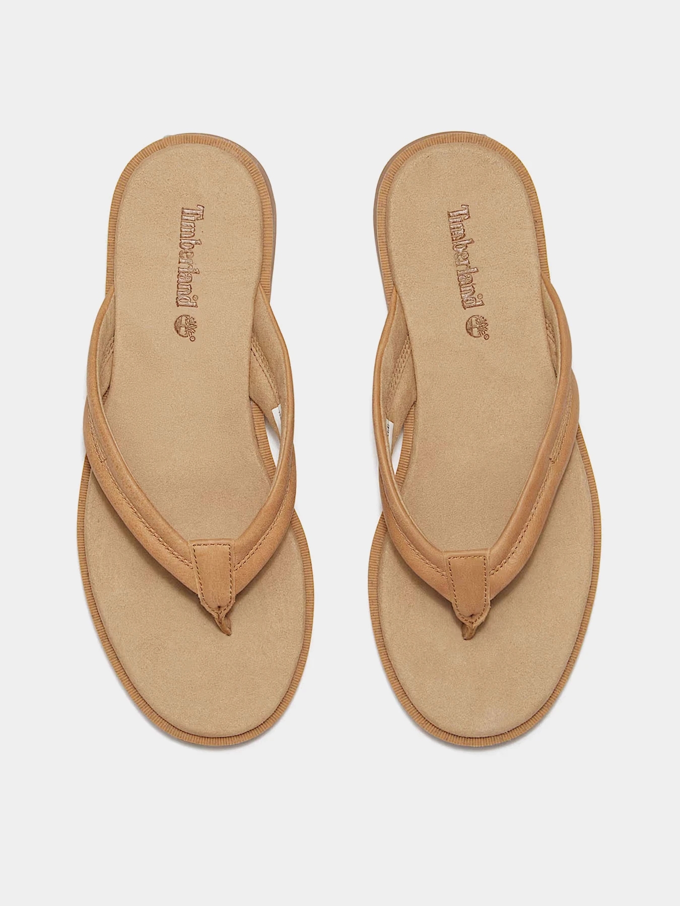 Шльопанці Timberland Calista Bay Thong модель TB0A2R5FEN2 Шльопанці Timberland Calista Bay Thong модель TB0A2R5FEN2 Фото