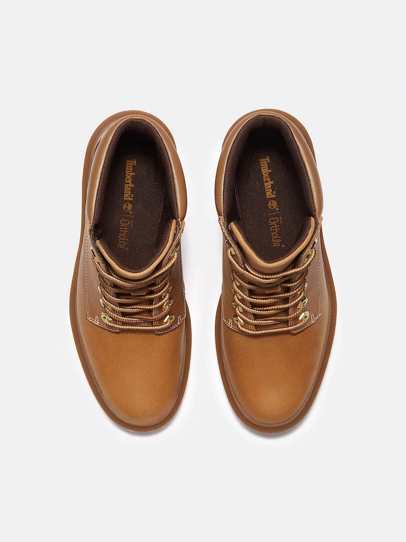 Ботинки и сапоги Timberland ALLINGTON HEIGHTS модель TB0A2CKCEN1 Ботинки и сапоги Timberland ALLINGTON HEIGHTS модель TB0A2CKCEN1 Фото