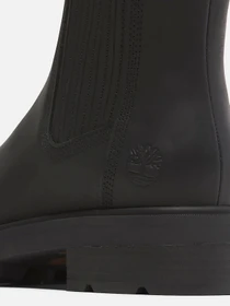 Ботинки и сапоги Timberland BRIMFIELD модель TB0A2PBBW02 Фото
