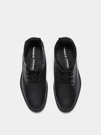 Ботинки и сапоги Timberland BRIMFIELD модель TB0A43AXW02 Фото