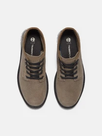 Ботинки и сапоги Timberland CAMBRIA VALLEY модель TB0A42B8EJR Фото