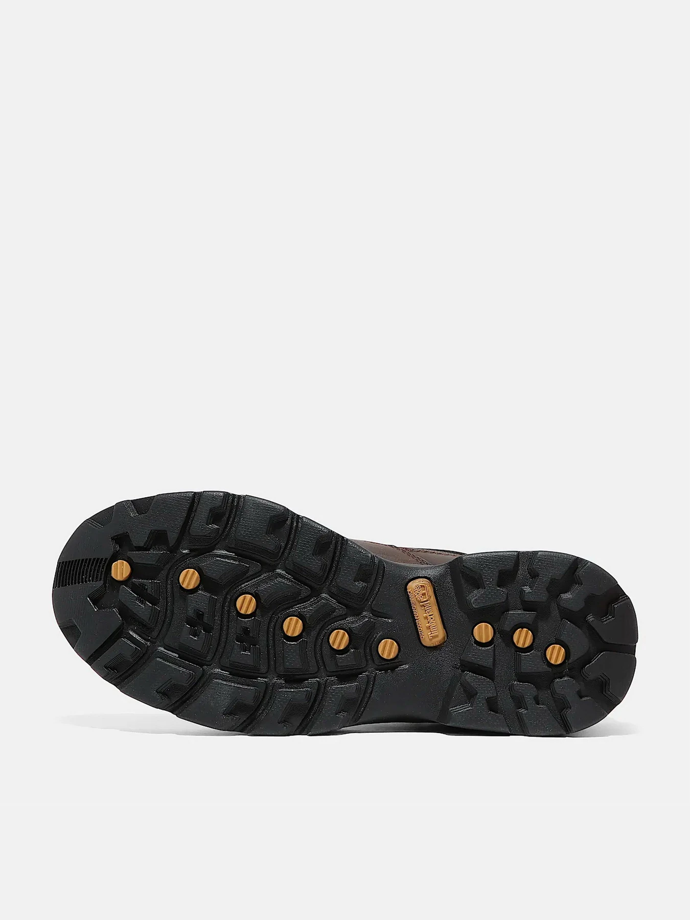 Ботинки и сапоги Timberland CHOCORUA GTX модель TB115631242 Ботинки и сапоги Timberland CHOCORUA GTX модель TB115631242 Фото
