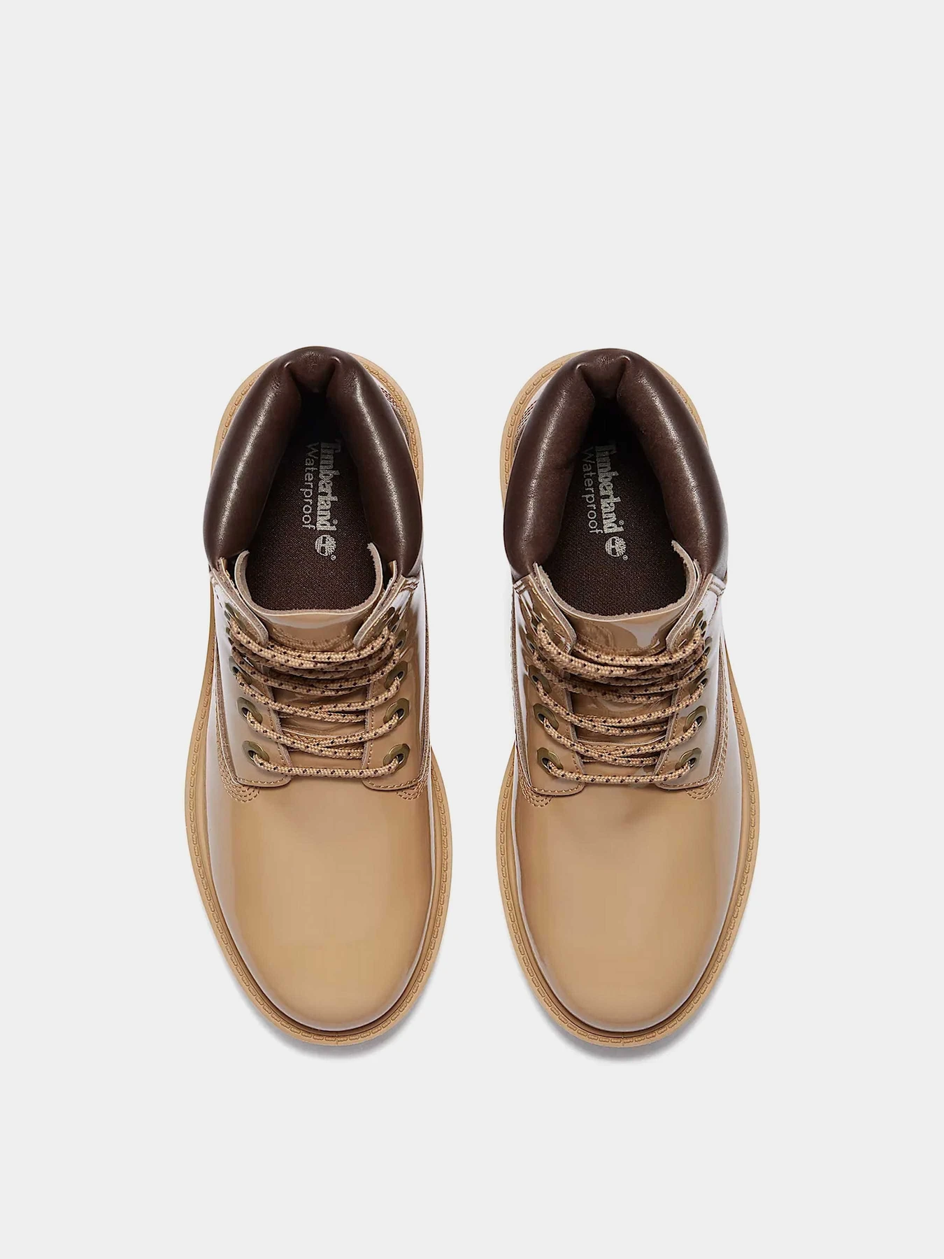 Черевики та чоботи Timberland TIMBERLAND PREMIUM WATERPROOF модель TB0A43F8EN0 Фото