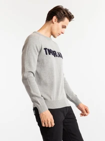 Худі та світшоти Timberland Logo Crew Neck модель TB0A1ZVN052 Фото