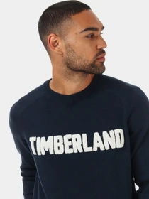 Худи и свитшоты Timberland модель TB0A1ZVN433 Фото