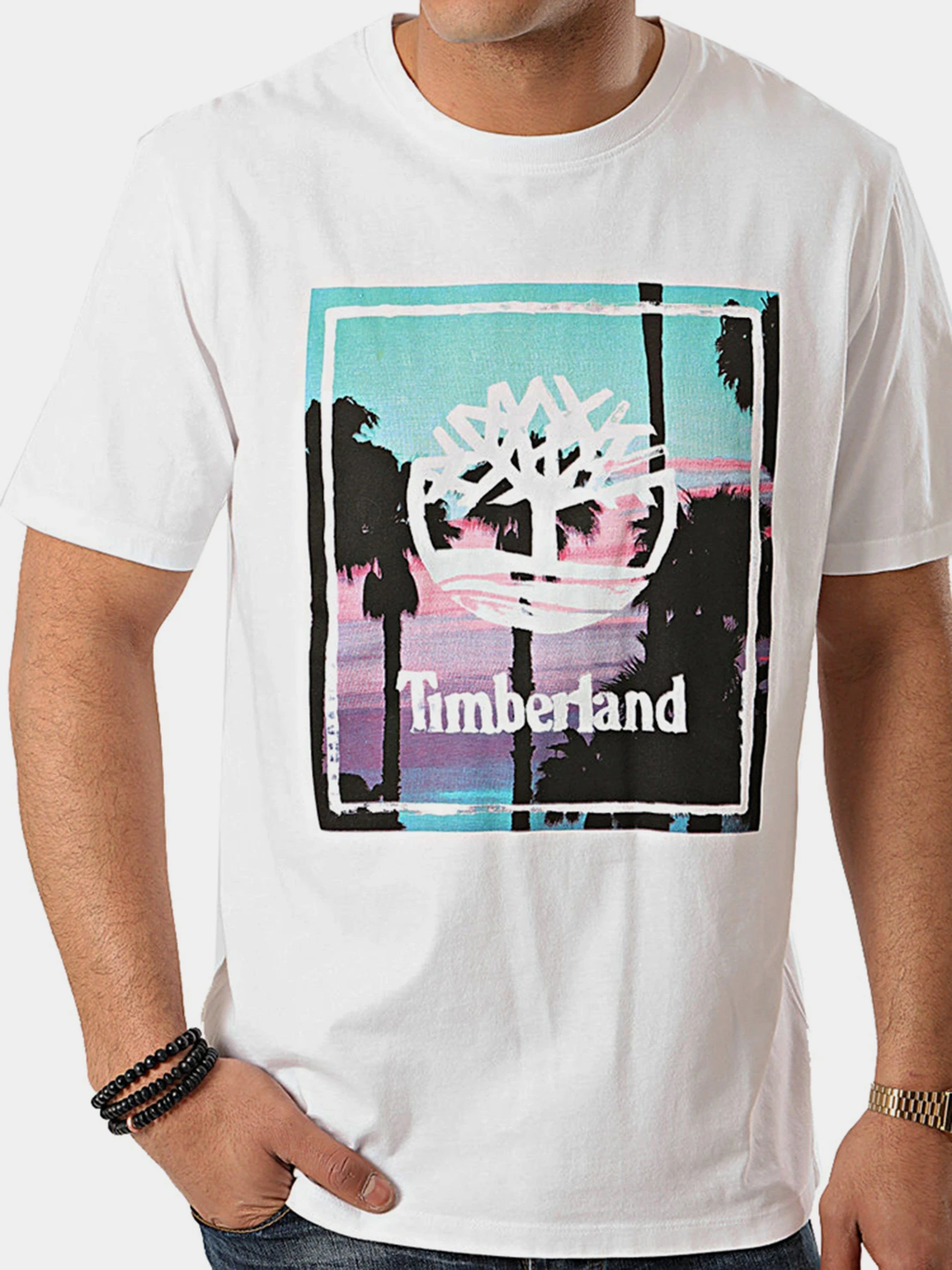 Футболки і поло Timberland Kennebec River Graphic модель TB0A1Z26100 Футболки і поло Timberland Kennebec River Graphic модель TB0A1Z26100 Фото