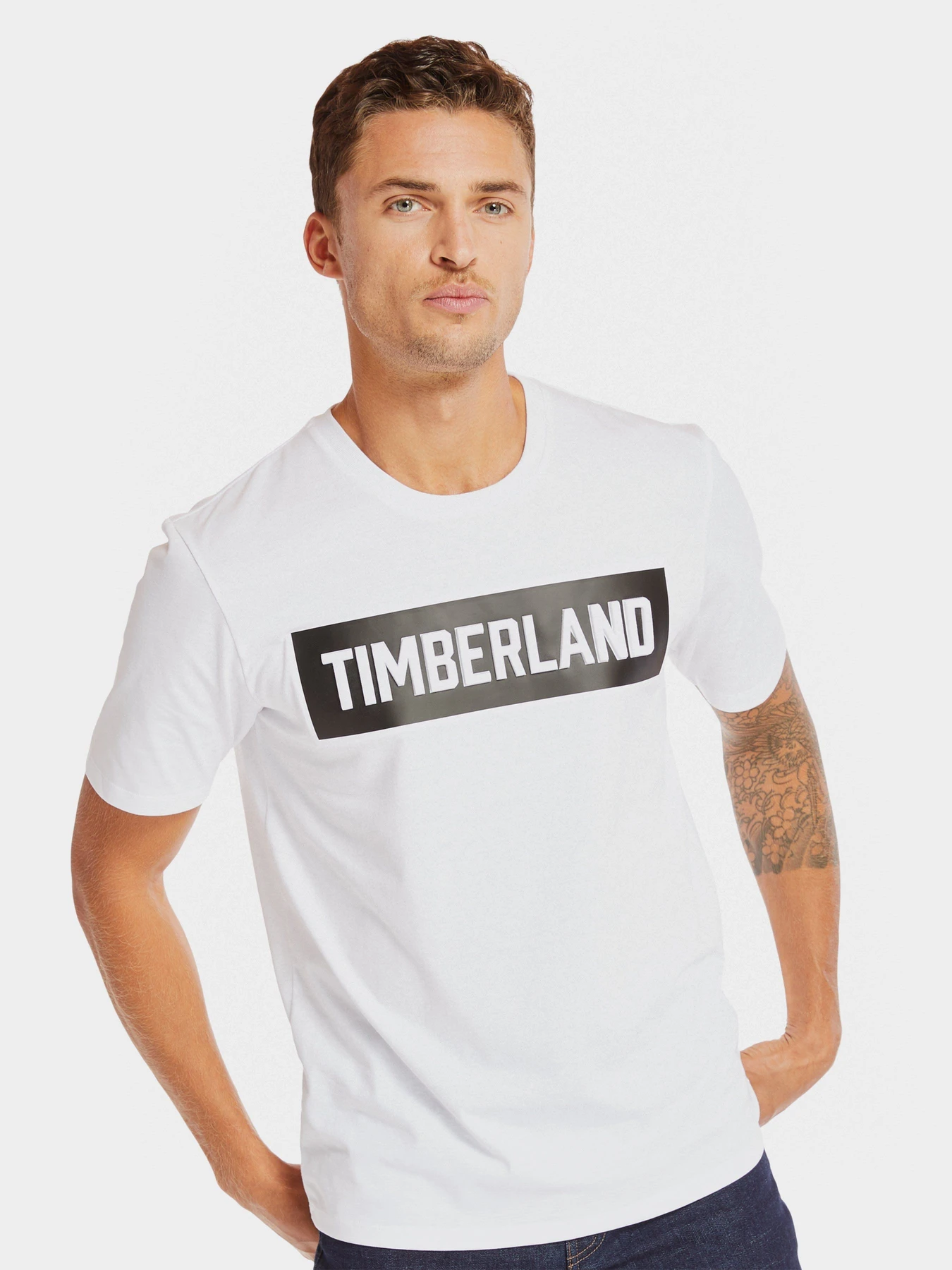 Футболки и поло Timberland Mink Brook модель TB0A1Z34100 Футболки и поло Timberland Mink Brook модель TB0A1Z34100 Фото