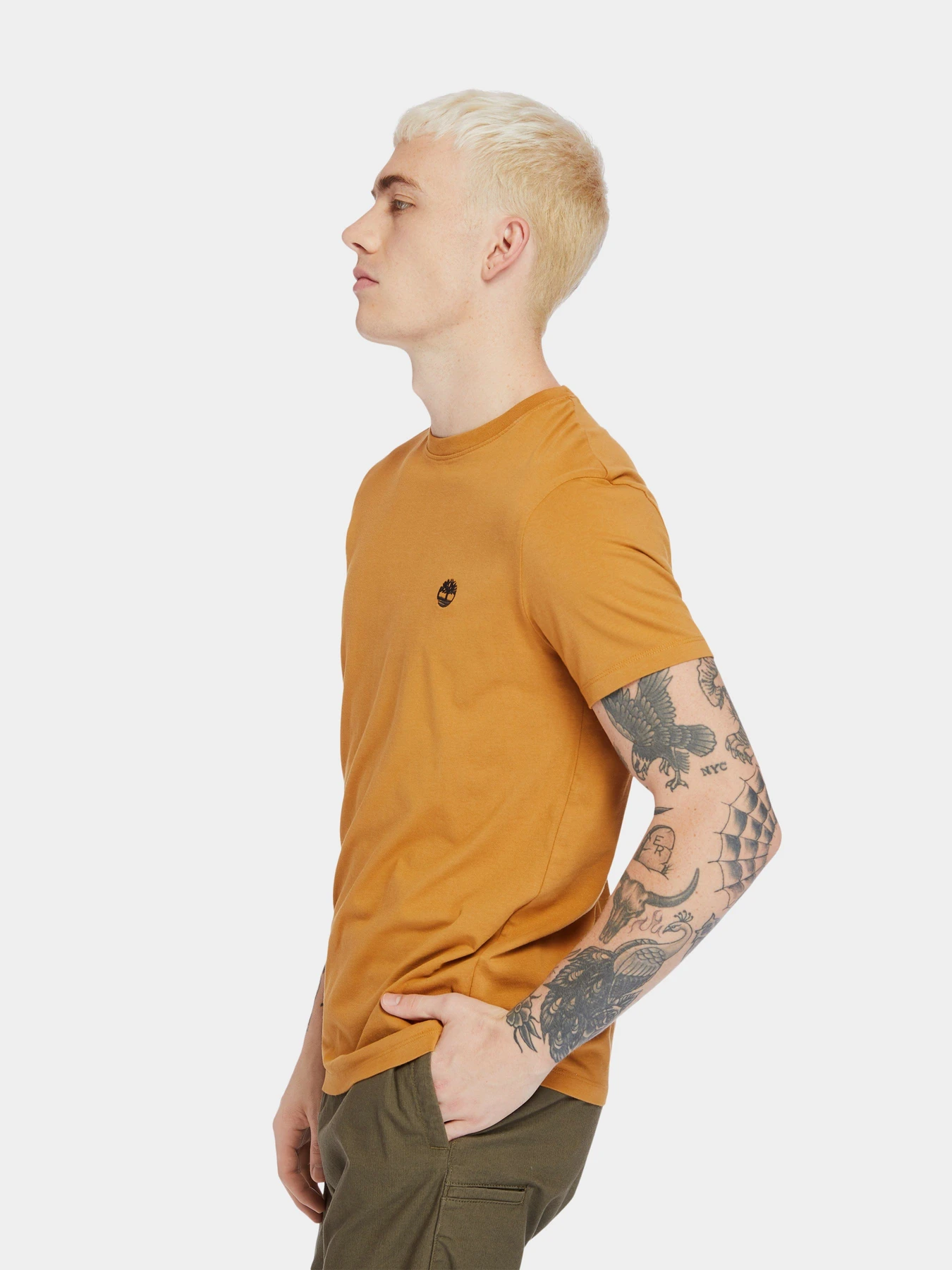Футболки и поло Timberland Dunstan River модель TB0A2BPRP47 Футболки и поло Timberland Dunstan River модель TB0A2BPRP47 Фото