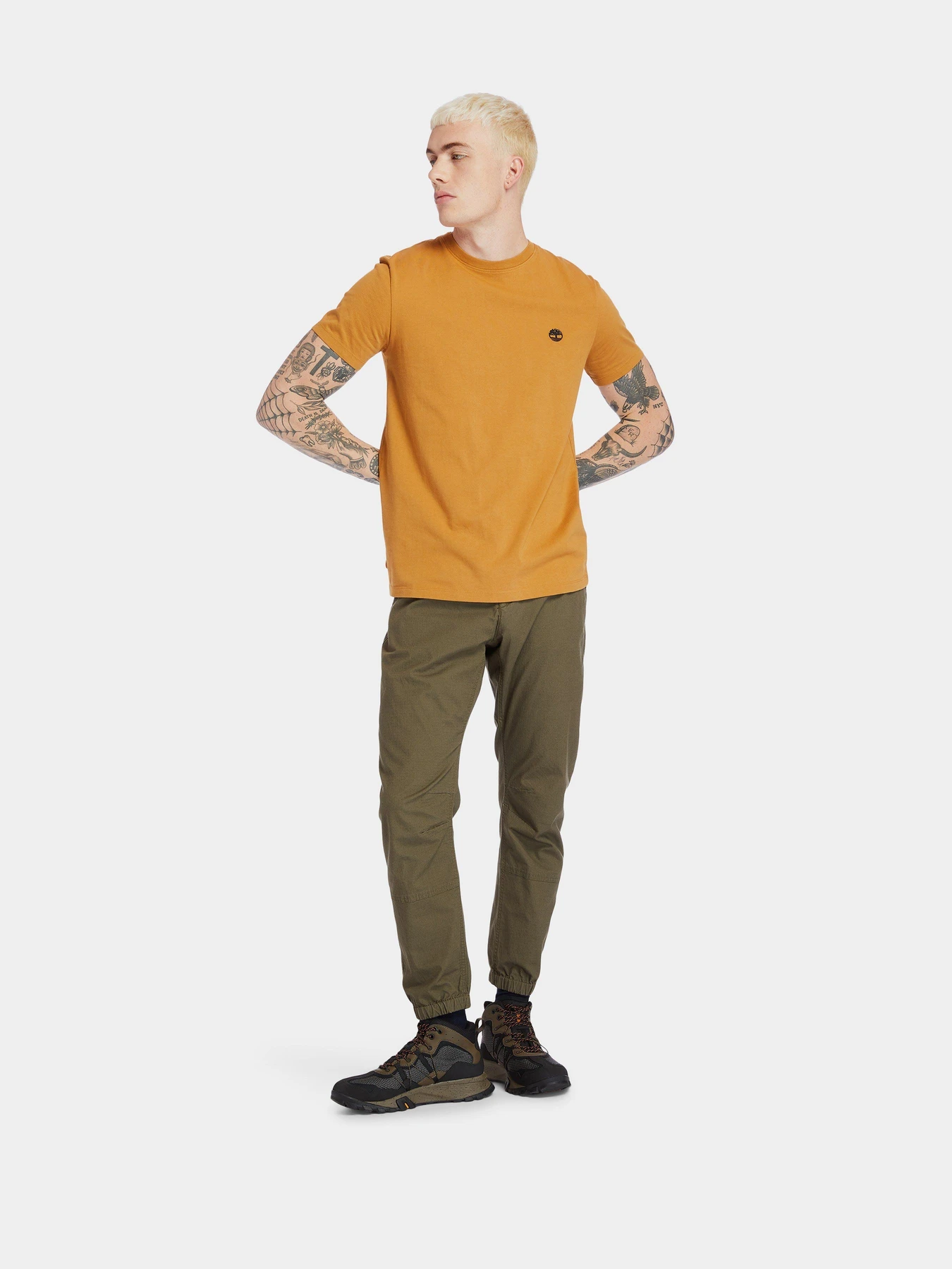 Футболки и поло Timberland Dunstan River модель TB0A2BPRP47 Футболки и поло Timberland Dunstan River модель TB0A2BPRP47 Фото