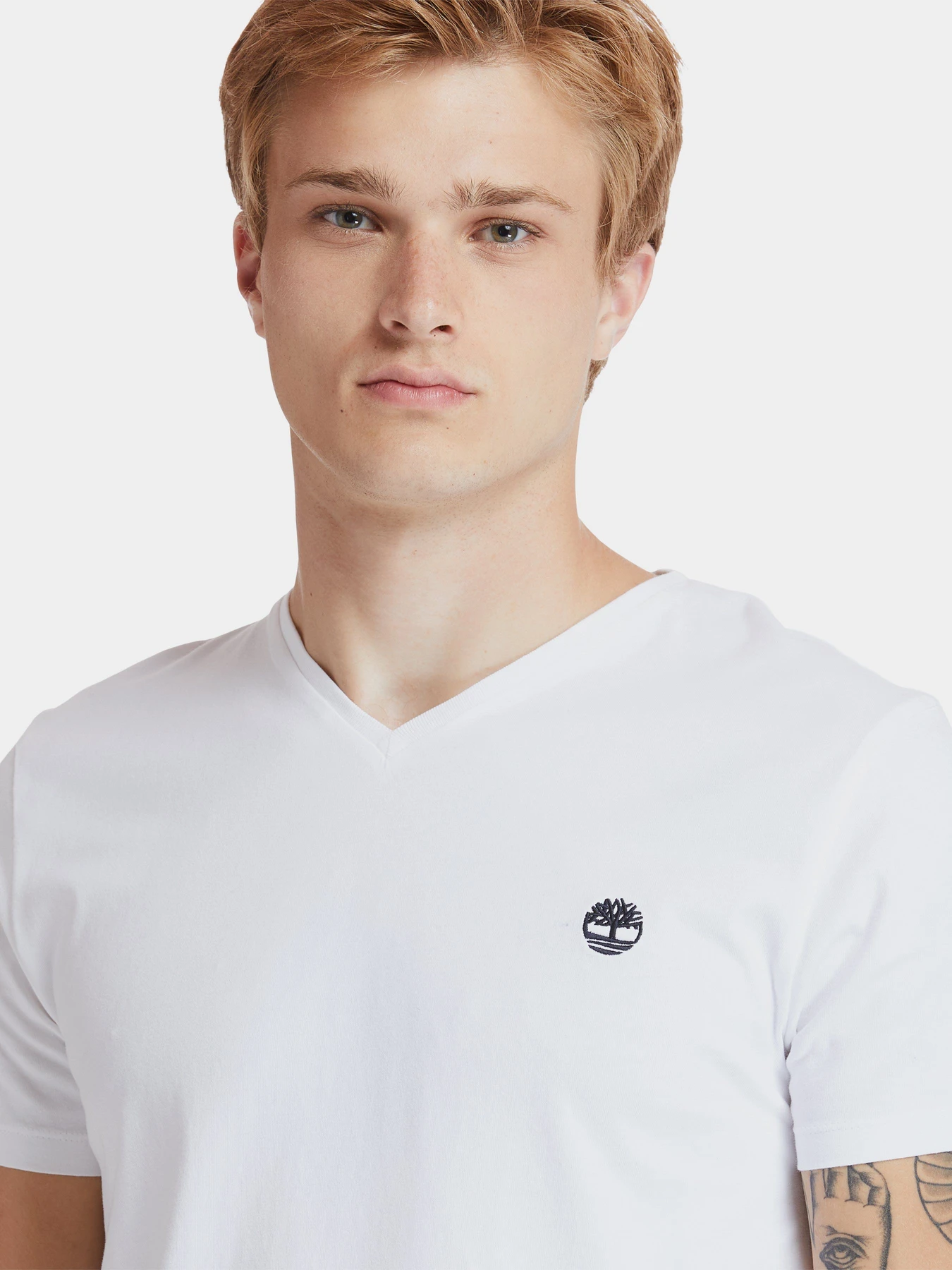 Футболки і поло Timberland Dunstan River V-Neck модель TB0A2BPT100 Фото