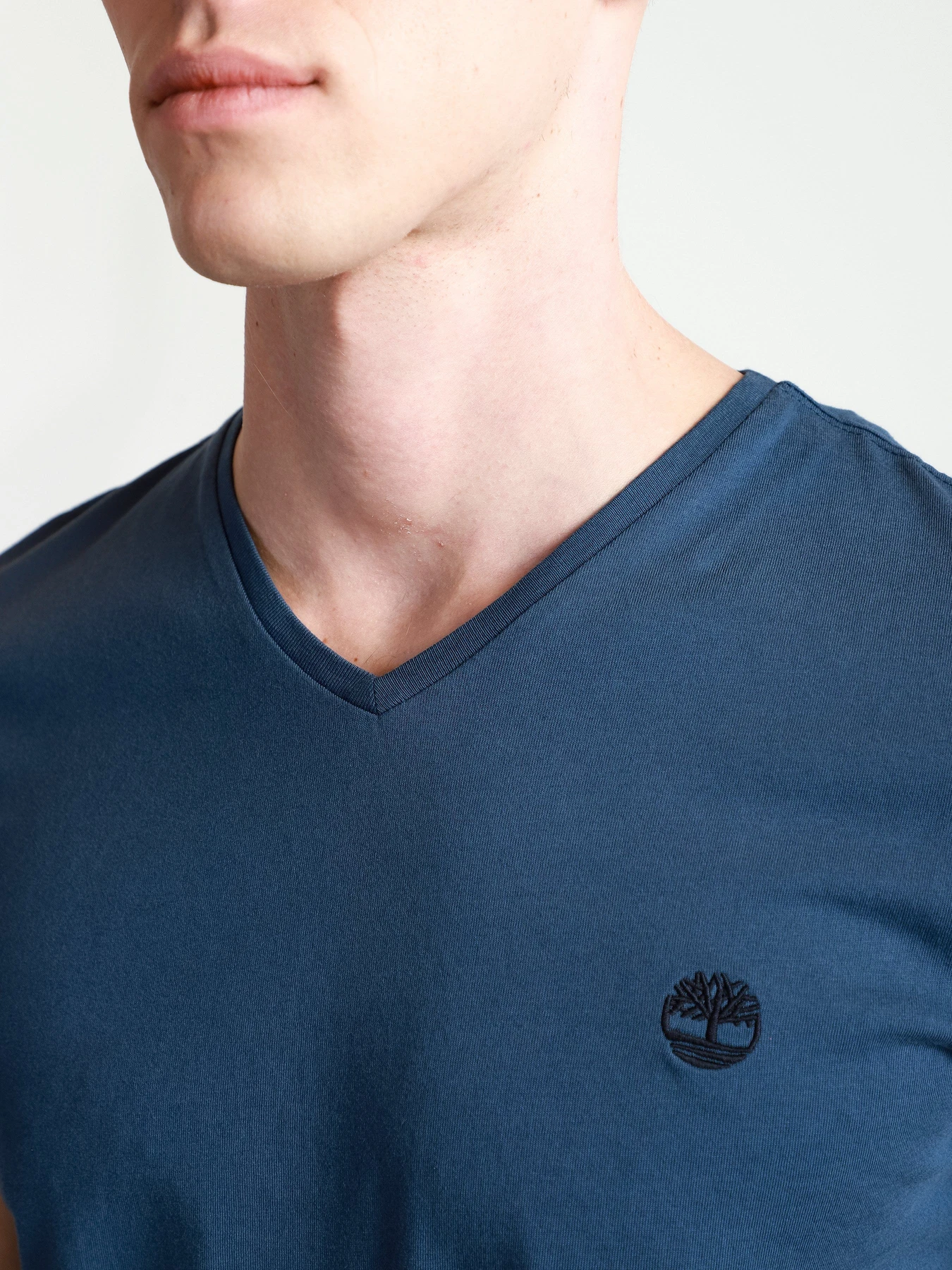 Футболки і поло Timberland Dunstan River V-Neck модель TB0A2BPT288 Фото