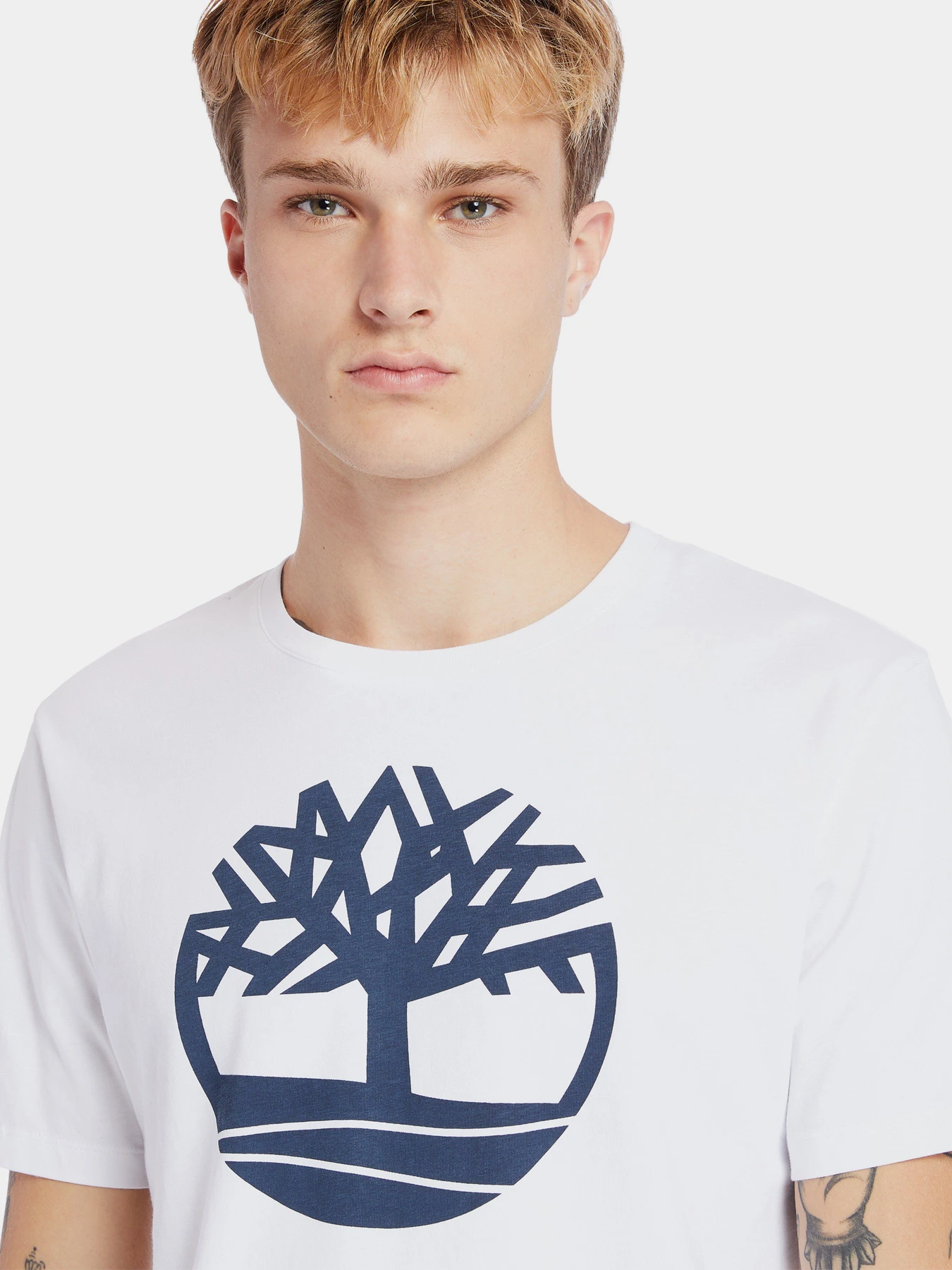 Футболки і поло Timberland Kennebec River Tree модель TB0A2C2R100 Футболки і поло Timberland Kennebec River Tree модель TB0A2C2R100 Фото