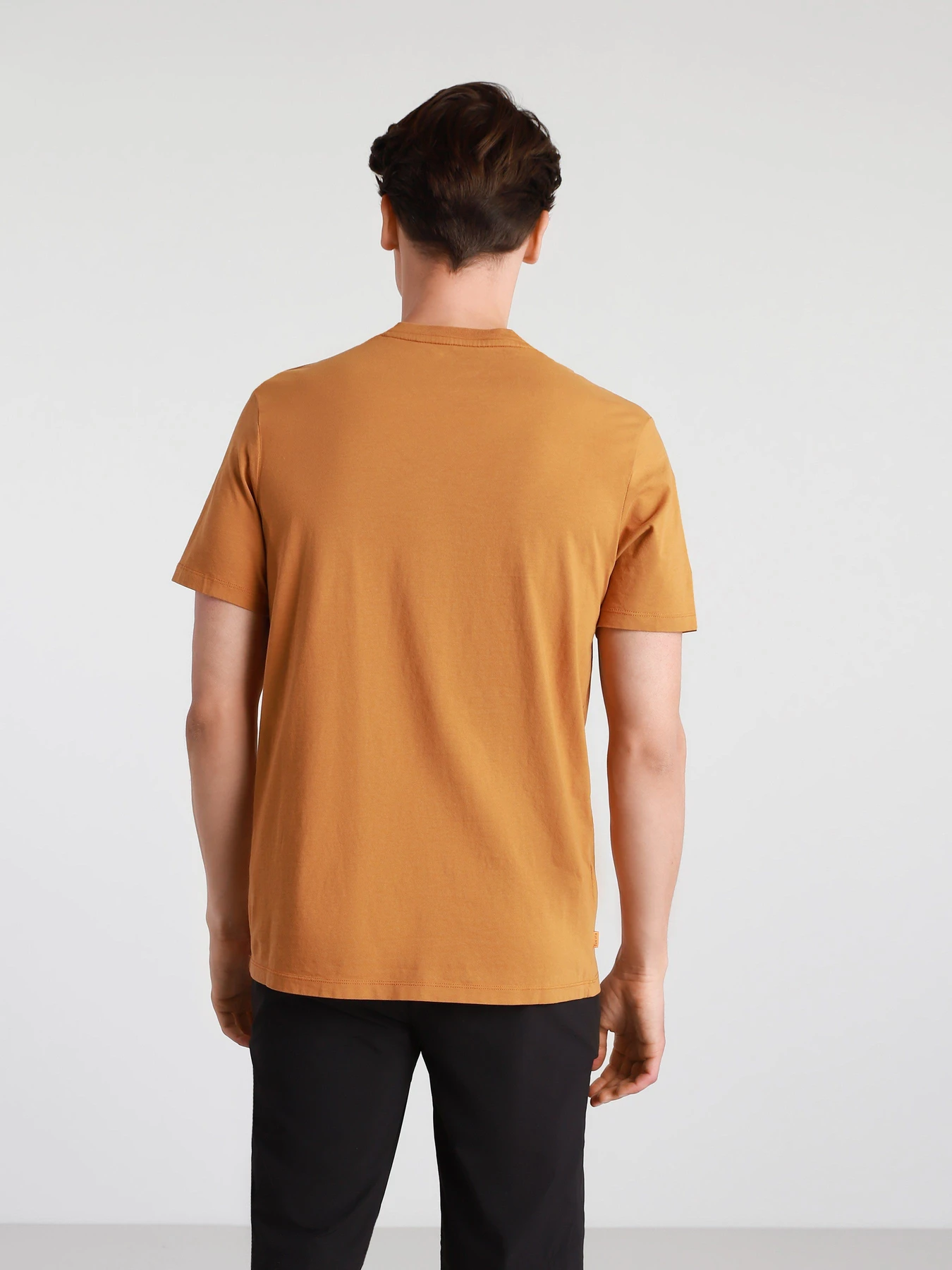 Футболки и поло Timberland Kennebec River Tree Logo модель TB0A2C2RP47 Футболки и поло Timberland Kennebec River Tree Logo модель TB0A2C2RP47 Фото