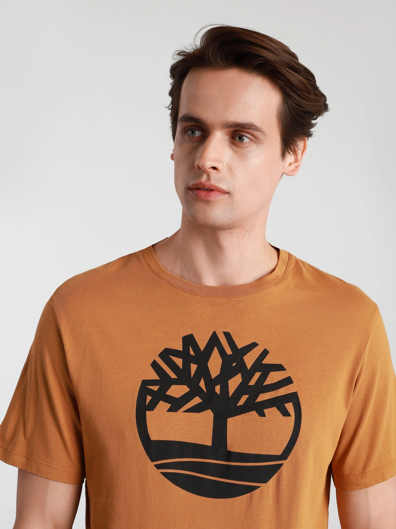 Футболки и поло Timberland Kennebec River Tree Logo модель TB0A2C2RP47 Футболки и поло Timberland Kennebec River Tree Logo модель TB0A2C2RP47 Фото