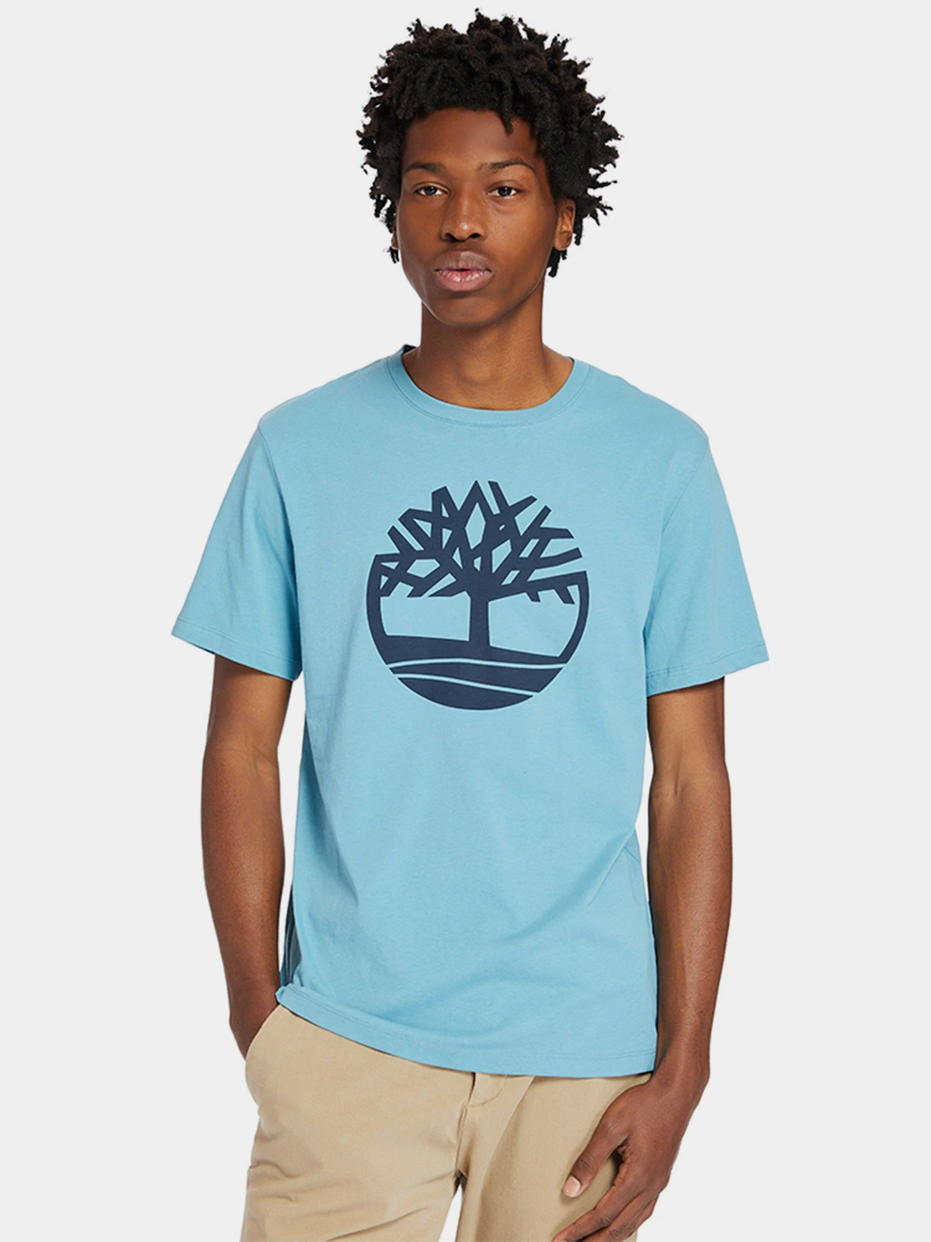 Футболки і поло Timberland Kennebec River Tree модель TB0A2C2RBE3 Фото