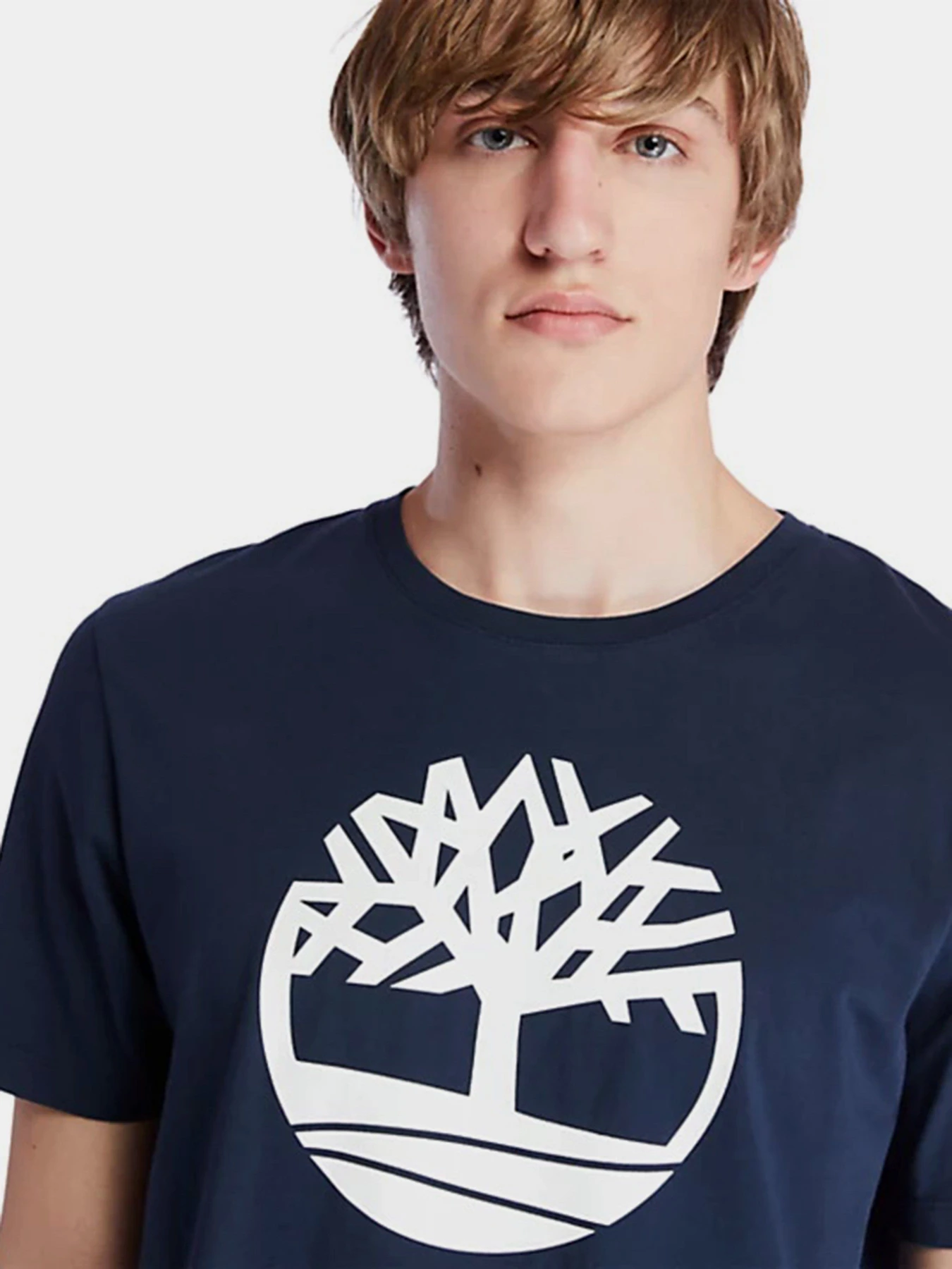 Футболки и поло Timberland Kennebec River Tree Logo модель TB0A2C2R433 Футболки и поло Timberland Kennebec River Tree Logo модель TB0A2C2R433 Фото