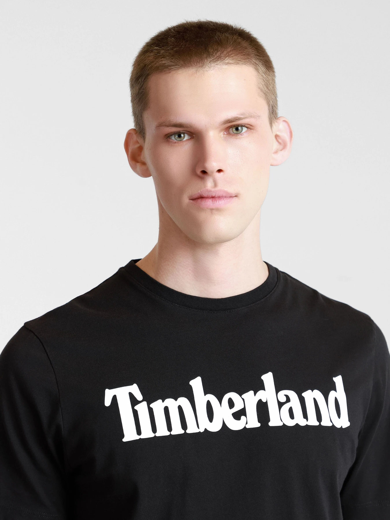 Футболки и поло Timberland Kennebec River Tree Logo модель TB0A2C31001 Футболки и поло Timberland Kennebec River Tree Logo модель TB0A2C31001 Фото