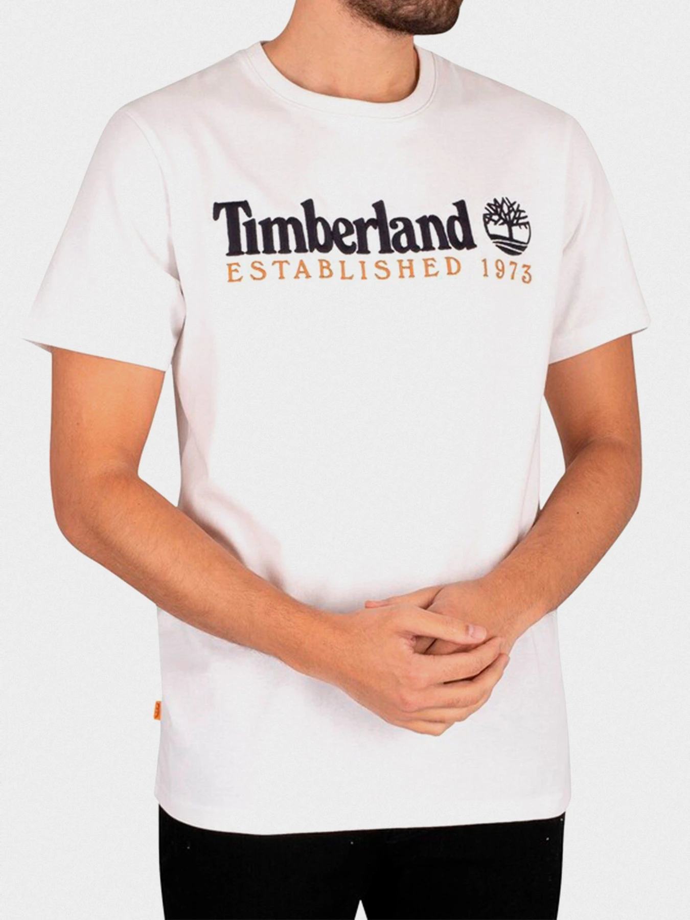 Футболки і поло Timberland Outdoor Heritage Logo модель TB0A2CMA100 Фото
