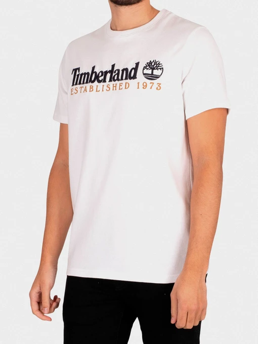 Футболки і поло Timberland Outdoor Heritage Logo модель TB0A2CMA100 Фото