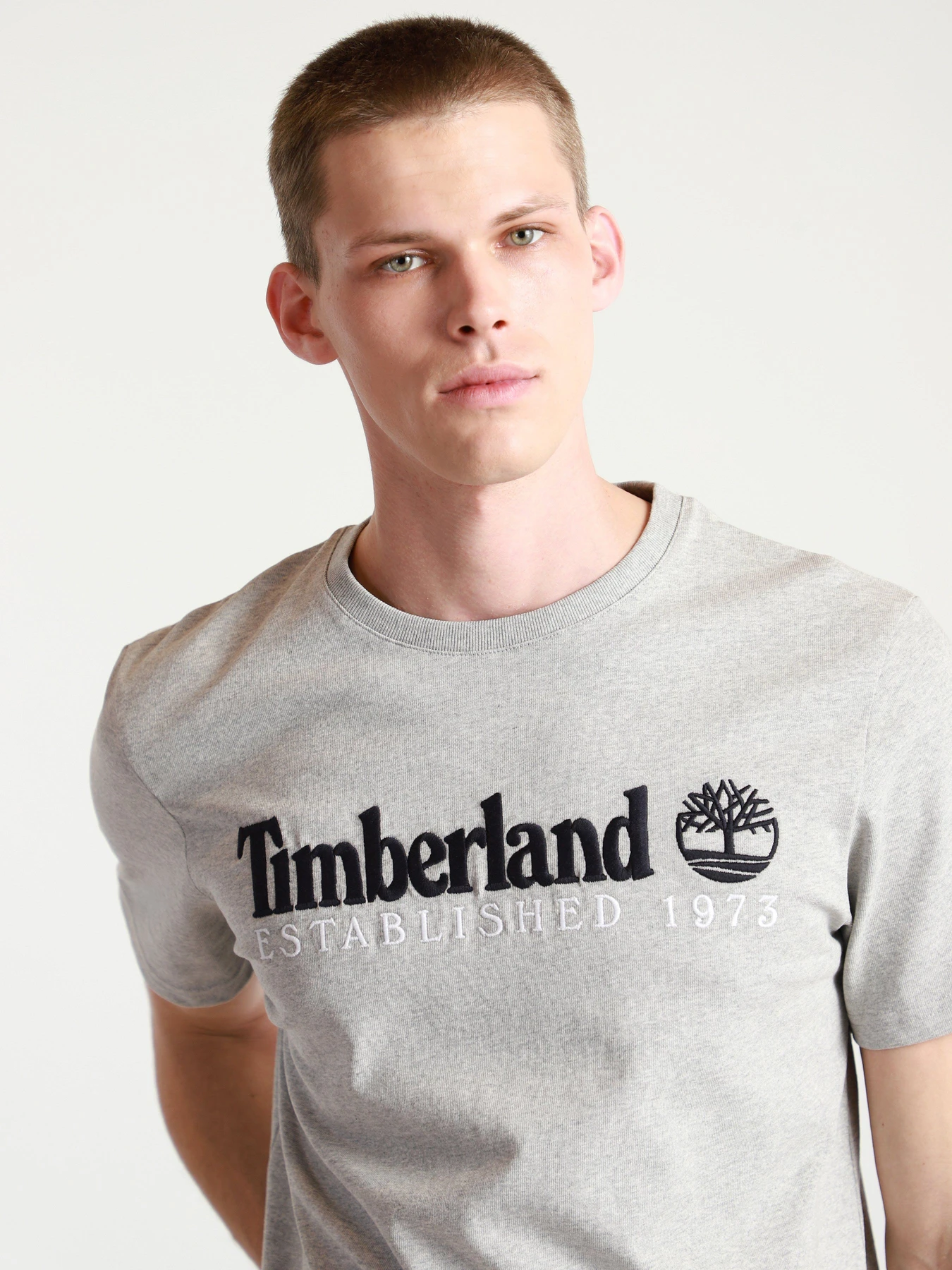 Футболки і поло Timberland Outdoor Heritage Logo модель TB0A2CMA052 Футболки і поло Timberland Outdoor Heritage Logo модель TB0A2CMA052 Фото