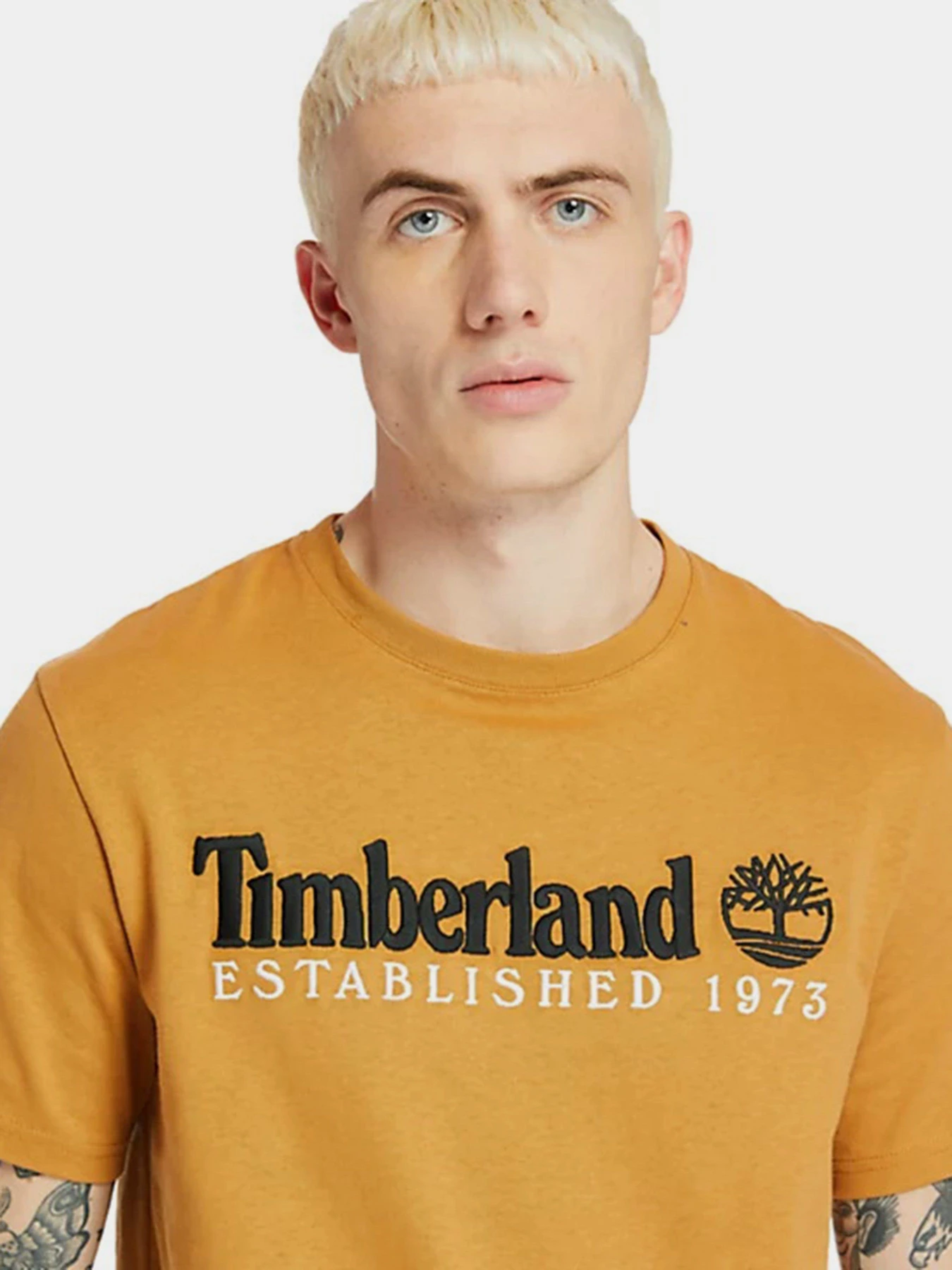 Футболки и поло Timberland Outdoor Est.1973 Linear Logo модель TB0A2CMAP47 Футболки и поло Timberland Outdoor Est.1973 Linear Logo модель TB0A2CMAP47 Фото