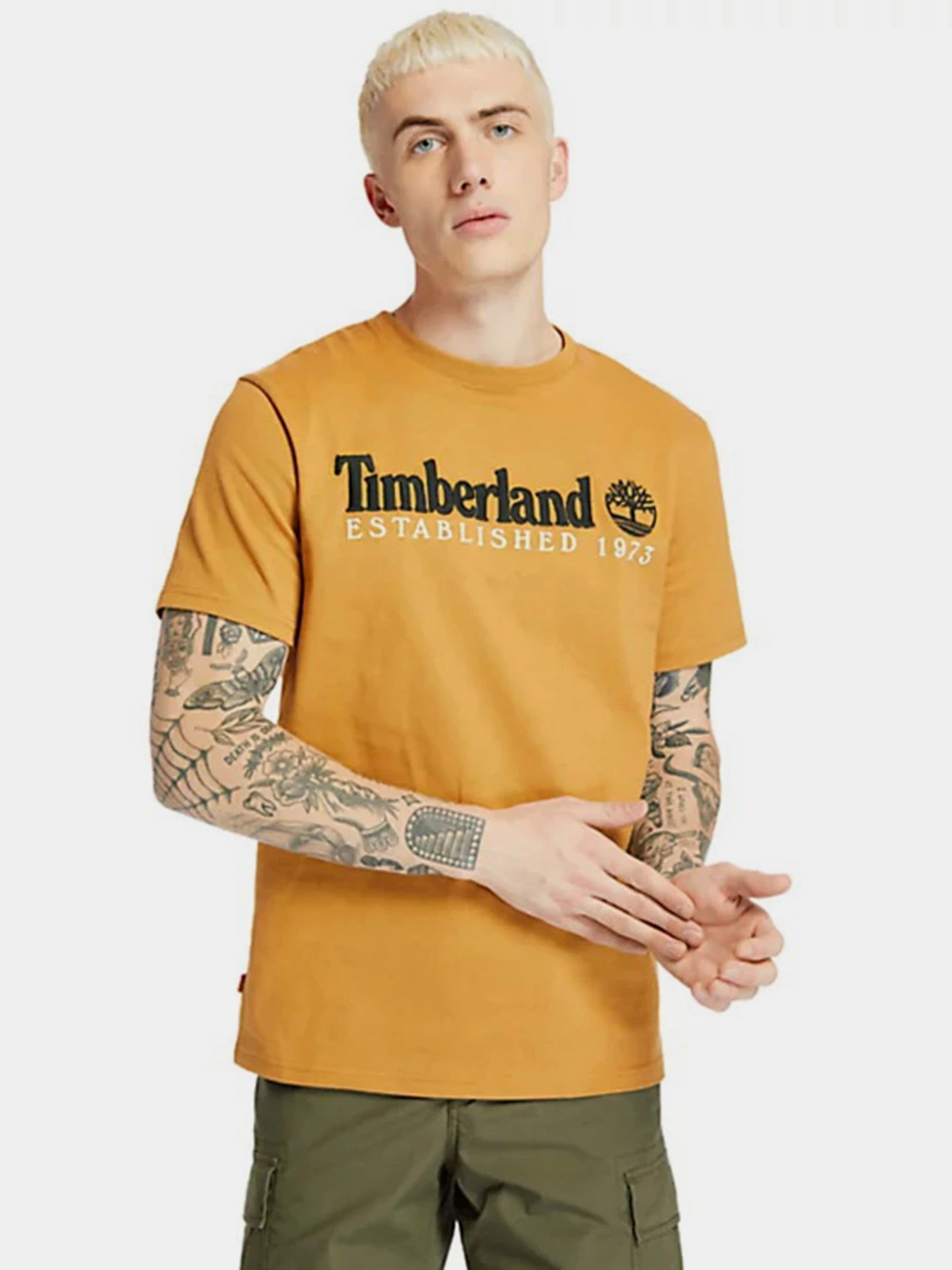 Футболки и поло Timberland Outdoor Est.1973 Linear Logo модель TB0A2CMAP47 Футболки и поло Timberland Outdoor Est.1973 Linear Logo модель TB0A2CMAP47 Фото