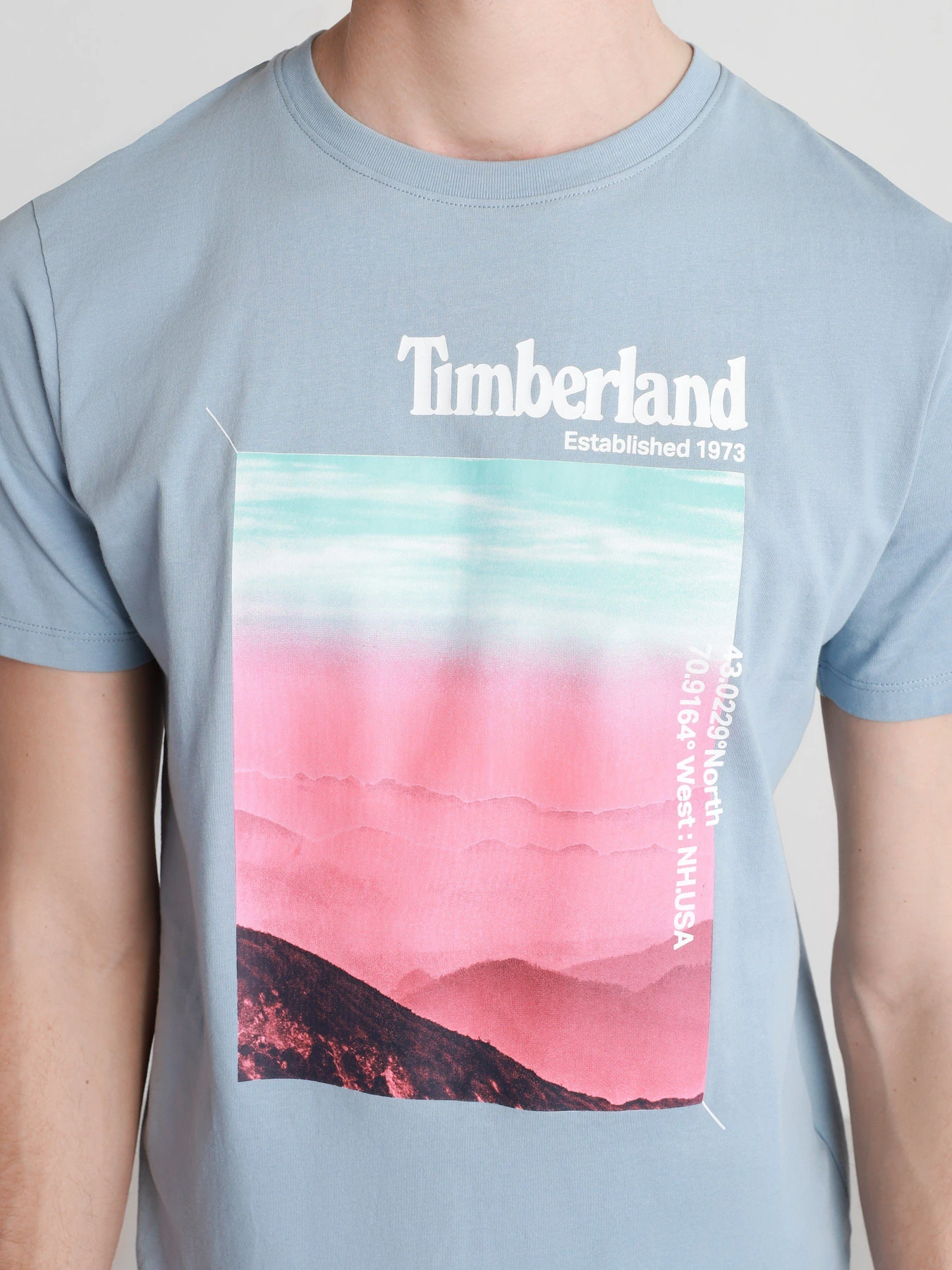 Футболки і поло Timberland Photographic модель TB0A2DMJG29 Футболки і поло Timberland Photographic модель TB0A2DMJG29 Фото