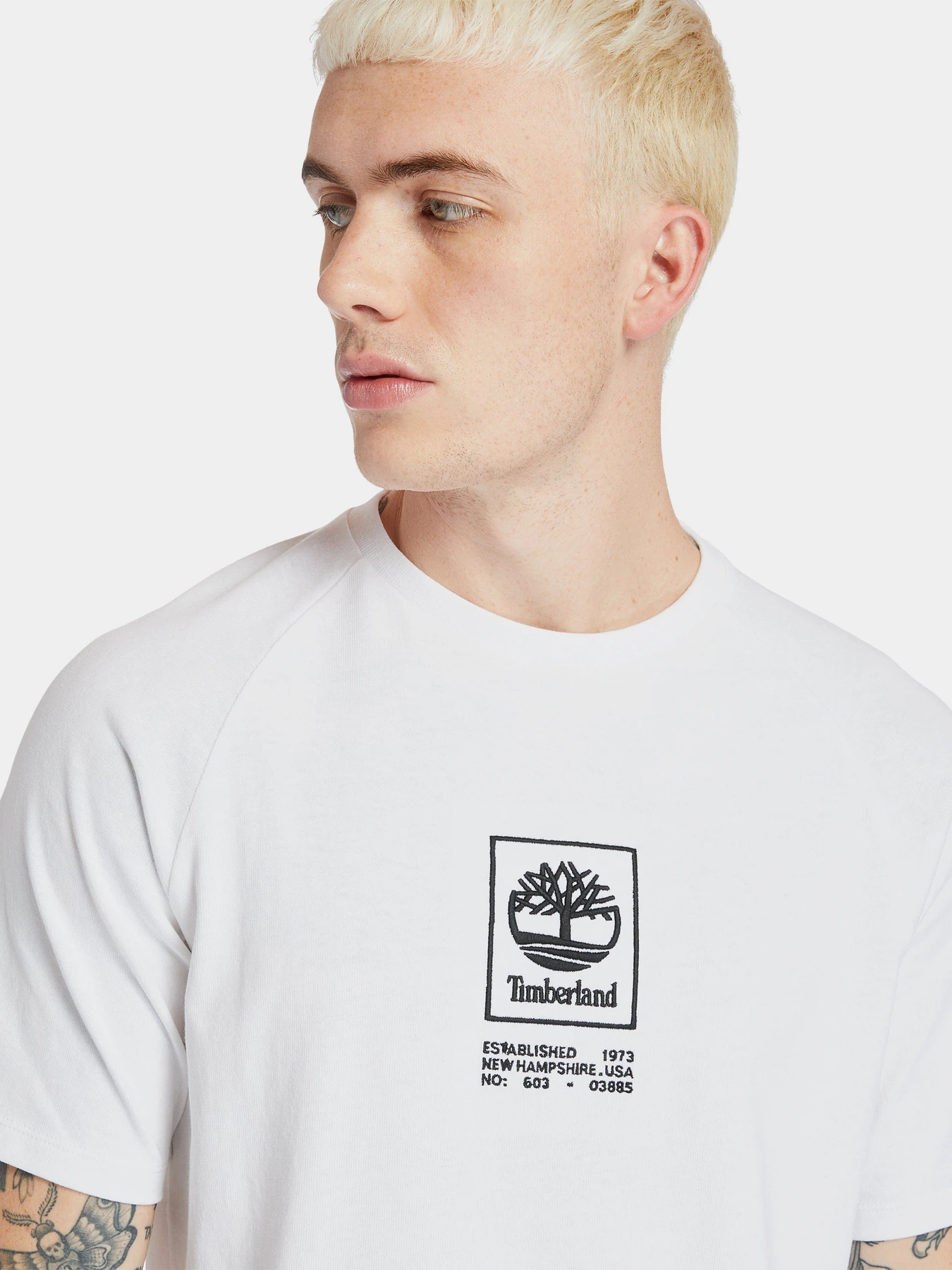 Футболки і поло Timberland Heavyweight Logo модель TB0A2DVY100 Футболки і поло Timberland Heavyweight Logo модель TB0A2DVY100 Фото