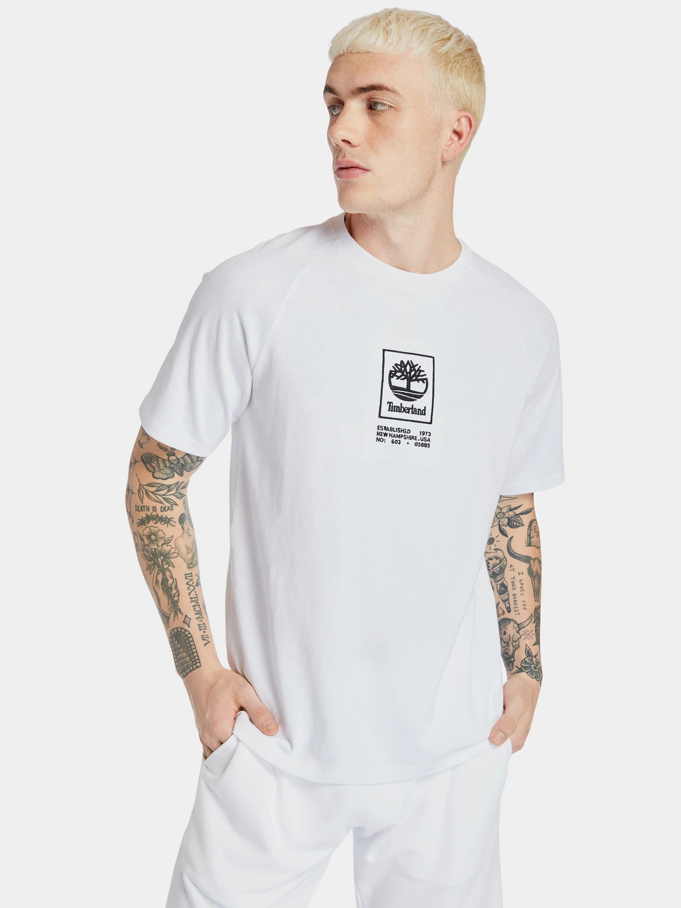 Футболки і поло Timberland Heavyweight Logo модель TB0A2DVY100 Футболки і поло Timberland Heavyweight Logo модель TB0A2DVY100 Фото