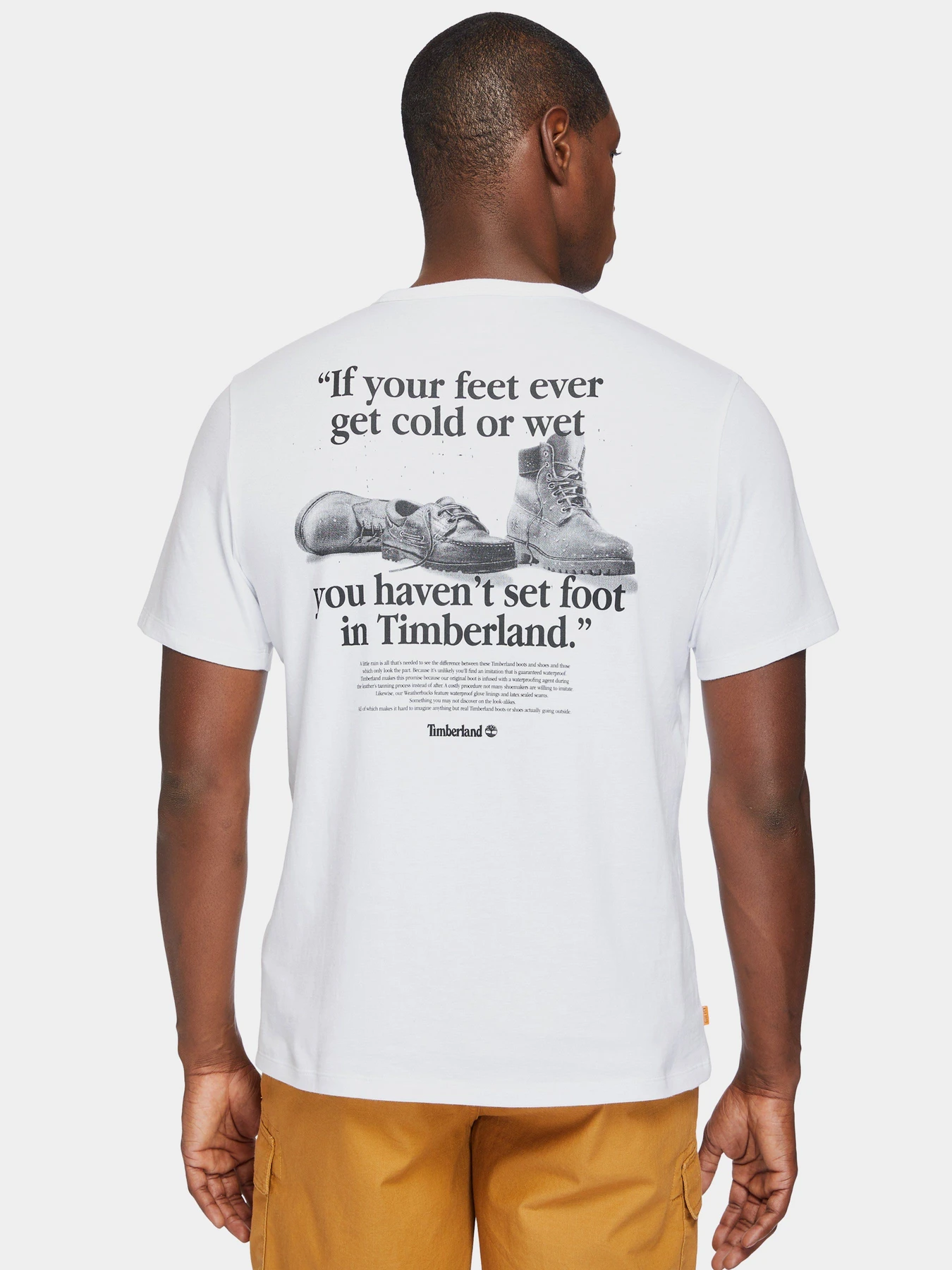 Футболки і поло Timberland Archive-Print Tee модель TB0A2E6E100 Фото