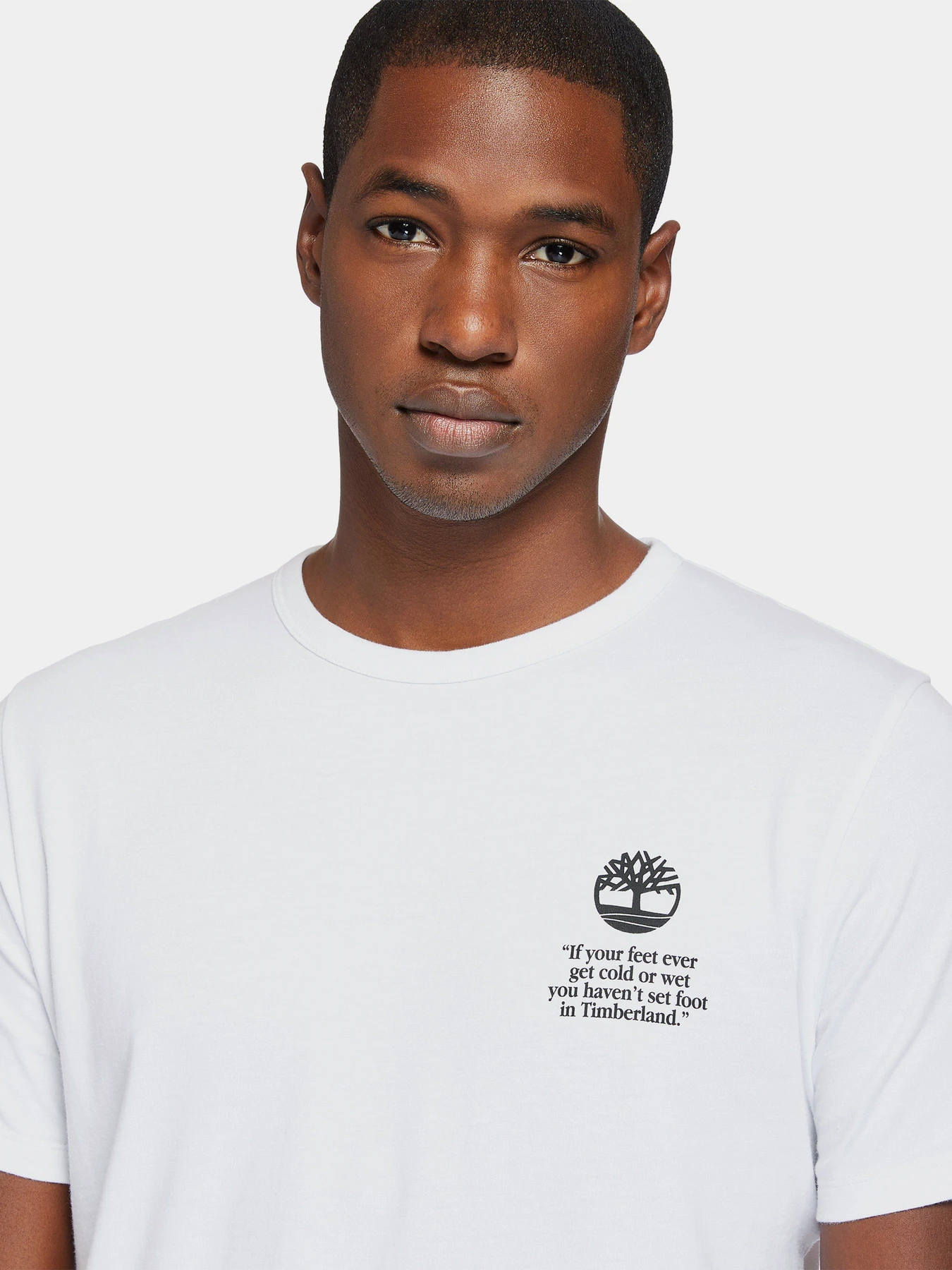 Футболки і поло Timberland Archive-Print Tee модель TB0A2E6E100 Фото