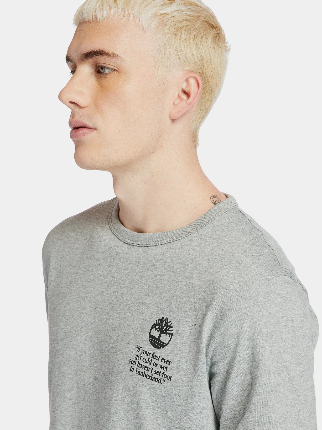 Футболки і поло Timberland Archive-Print Tee модель TB0A2E6E052 Фото