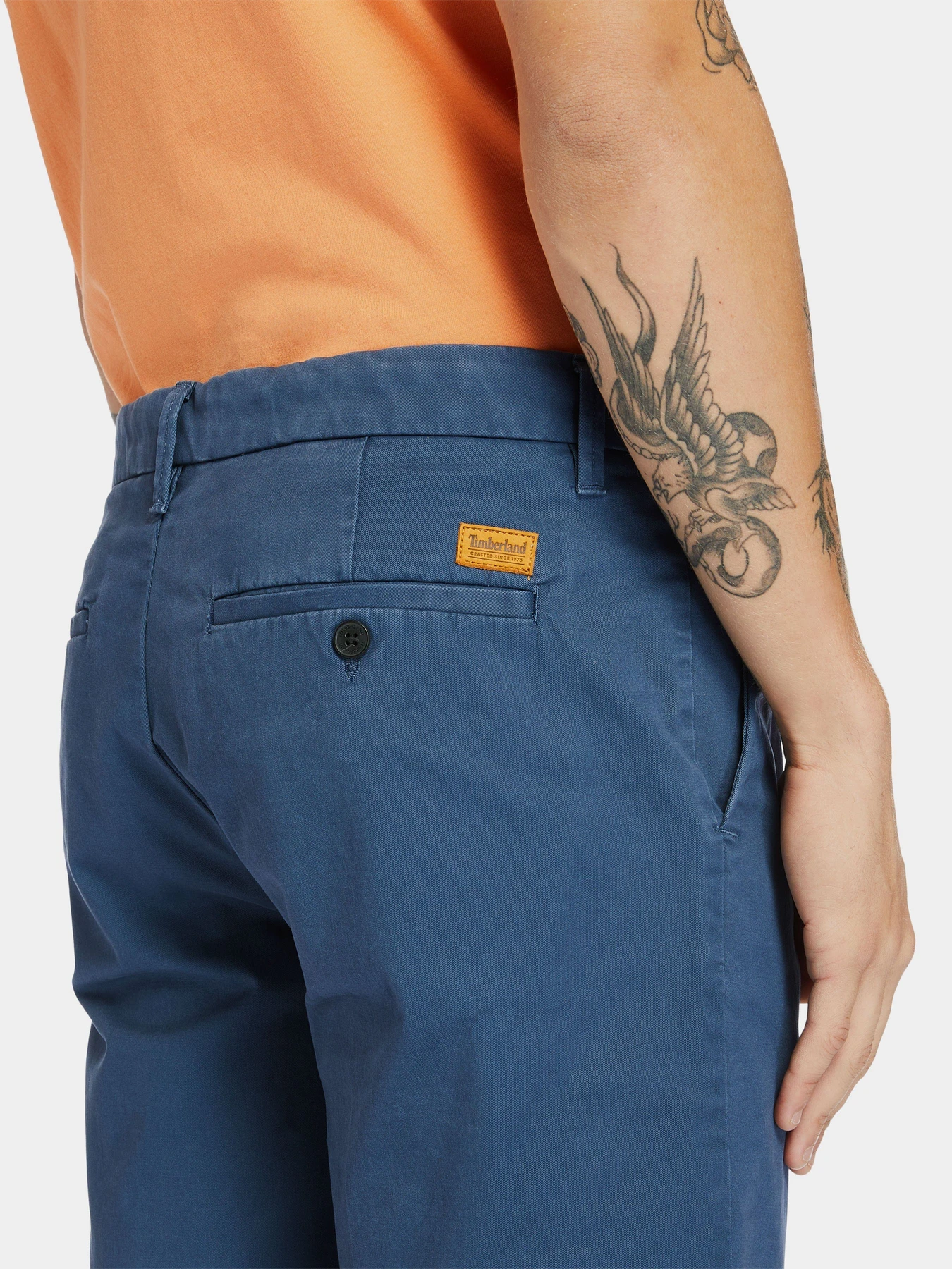 Шорты Timberland Squam Lake модель TB0A2DFM288 Фото