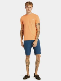 Шорты Timberland Squam Lake модель TB0A2DFM288 Фото