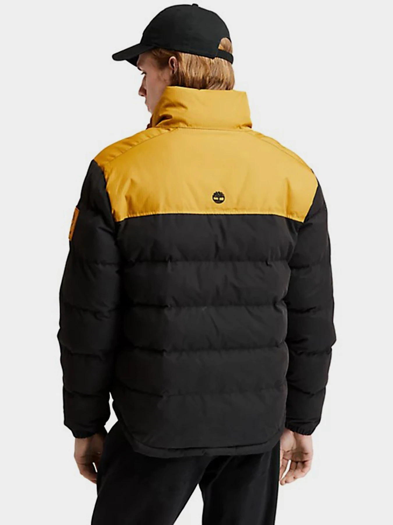 Куртки и дубленки Timberland Welch Mountain модель TB0A22XBP57 Куртки и дубленки Timberland Welch Mountain модель TB0A22XBP57 Фото