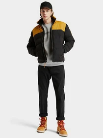 Куртки и дубленки Timberland Welch Mountain модель TB0A22XBP57 Фото