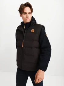 Жилеты Timberland Welch Mountain Puffer Vest модель TB0A22XM001 Фото