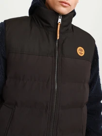 Жилеты Timberland Welch Mountain Puffer Vest модель TB0A22XM001 Фото