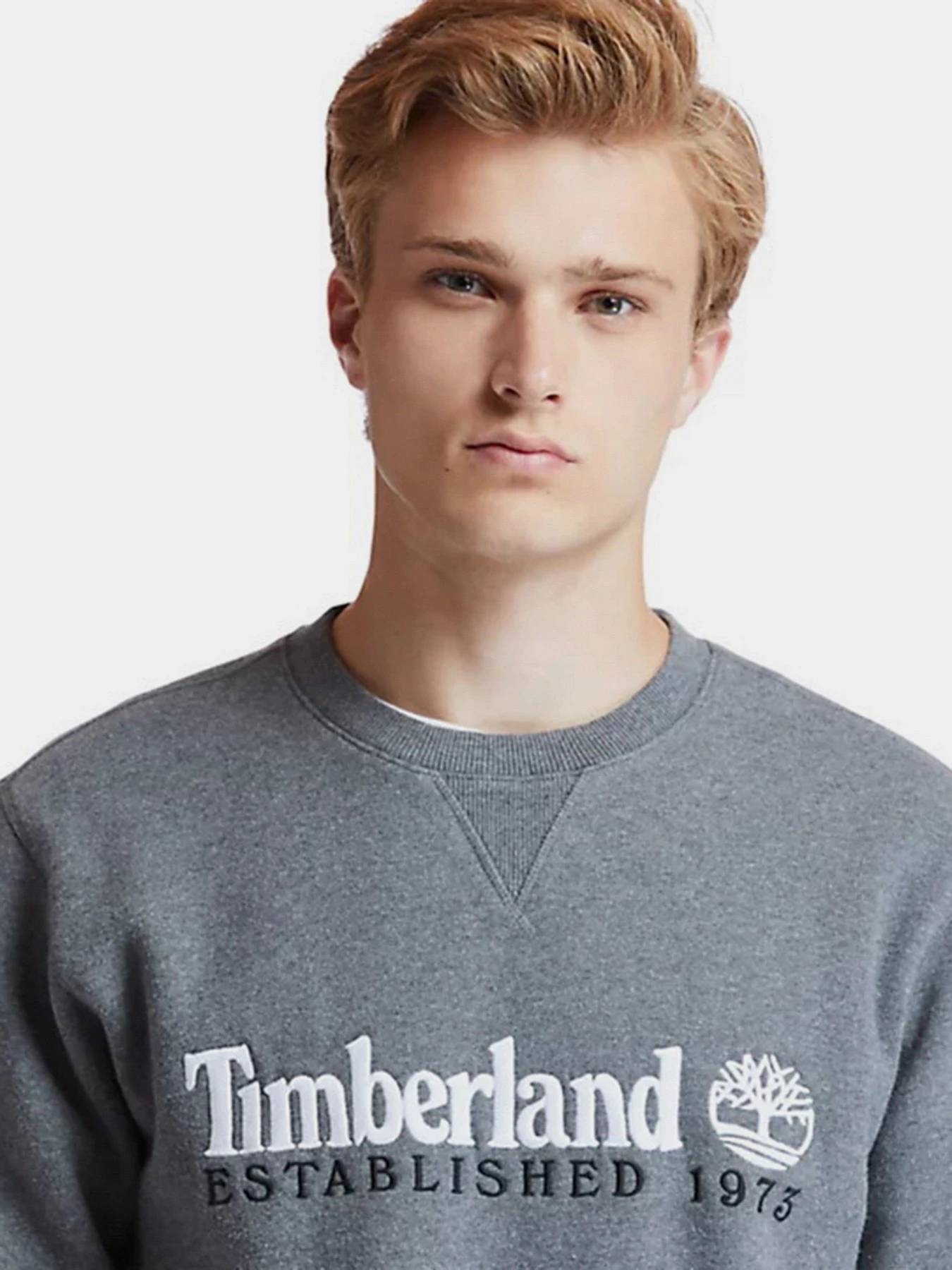 Худи и свитшоты Timberland HERITAGE EST. 1973 модель TB0A2CQZU14 Худи и свитшоты Timberland HERITAGE EST. 1973 модель TB0A2CQZU14 Фото