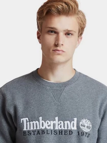 Худи и свитшоты Timberland HERITAGE EST. 1973 модель TB0A2CQZU14 Фото