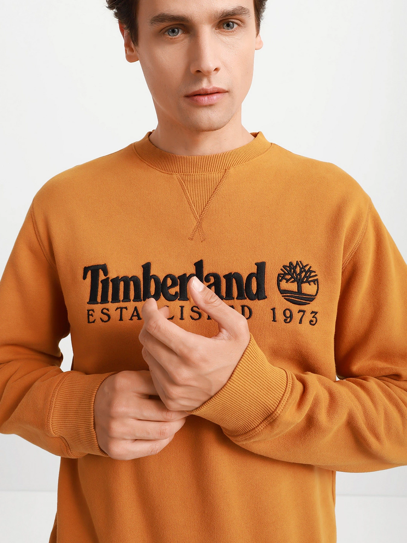 Худи и свитшоты Timberland Heritage Est. 1973 модель TB0A2CQZP47 Фото