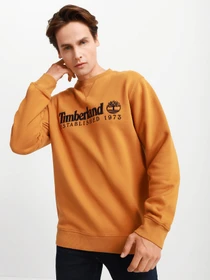 Худи и свитшоты Timberland Heritage Est. 1973 модель TB0A2CQZP47 Фото