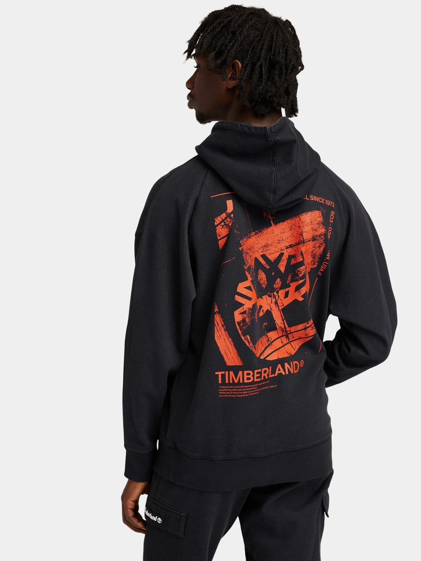 Худи и свитшоты Timberland Garment-Dyed Graphic модель TB0A22C9001 Худи и свитшоты Timberland Garment-Dyed Graphic модель TB0A22C9001 Фото