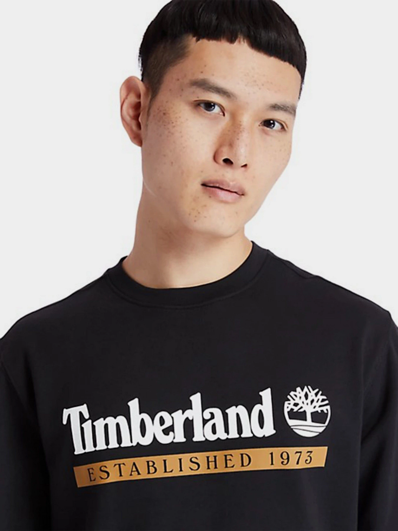 Худи и свитшоты Timberland Established 1973 Crew модель TB0A2AMHP56 Фото